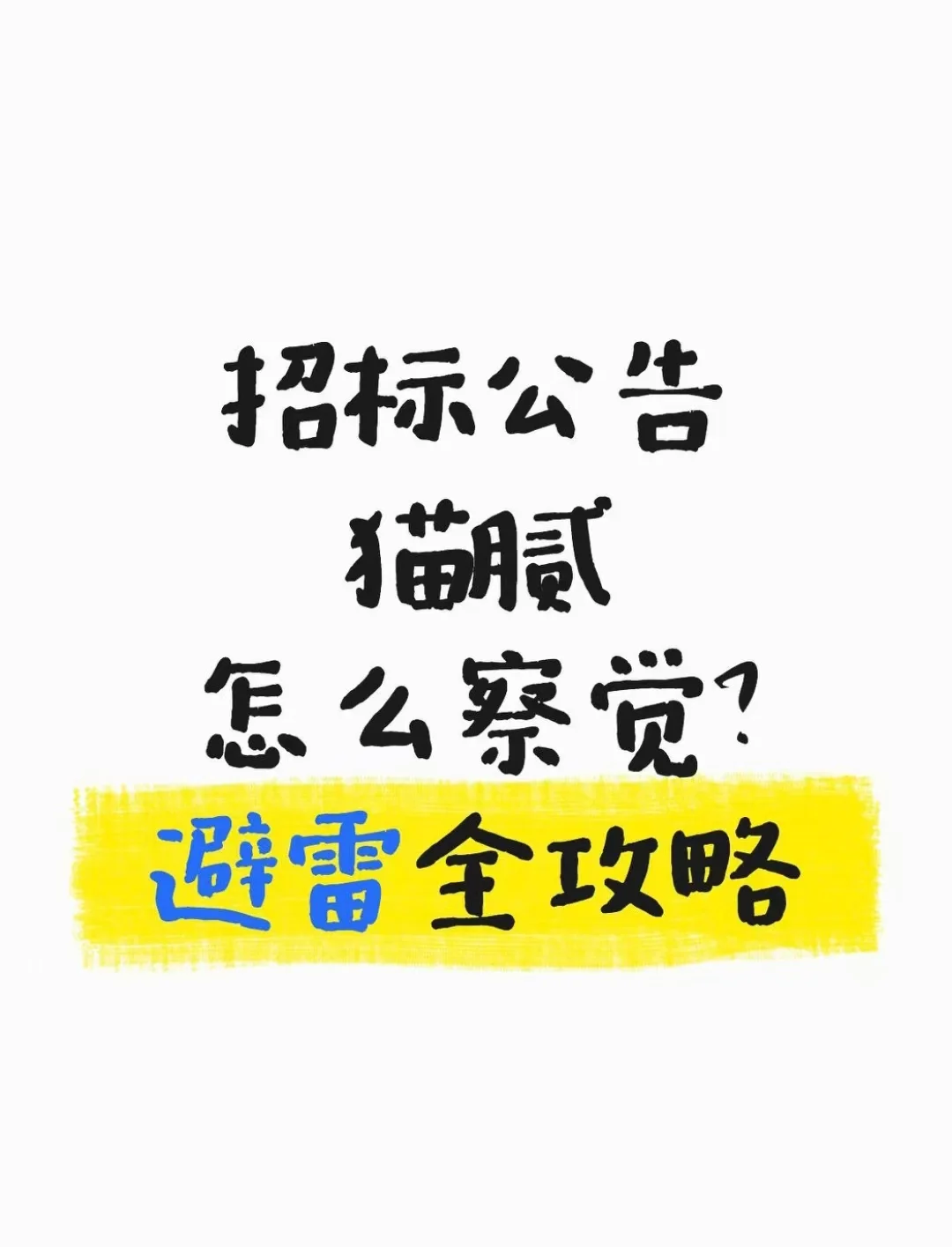 招标公告猫腻怎么察觉?避雷全攻略