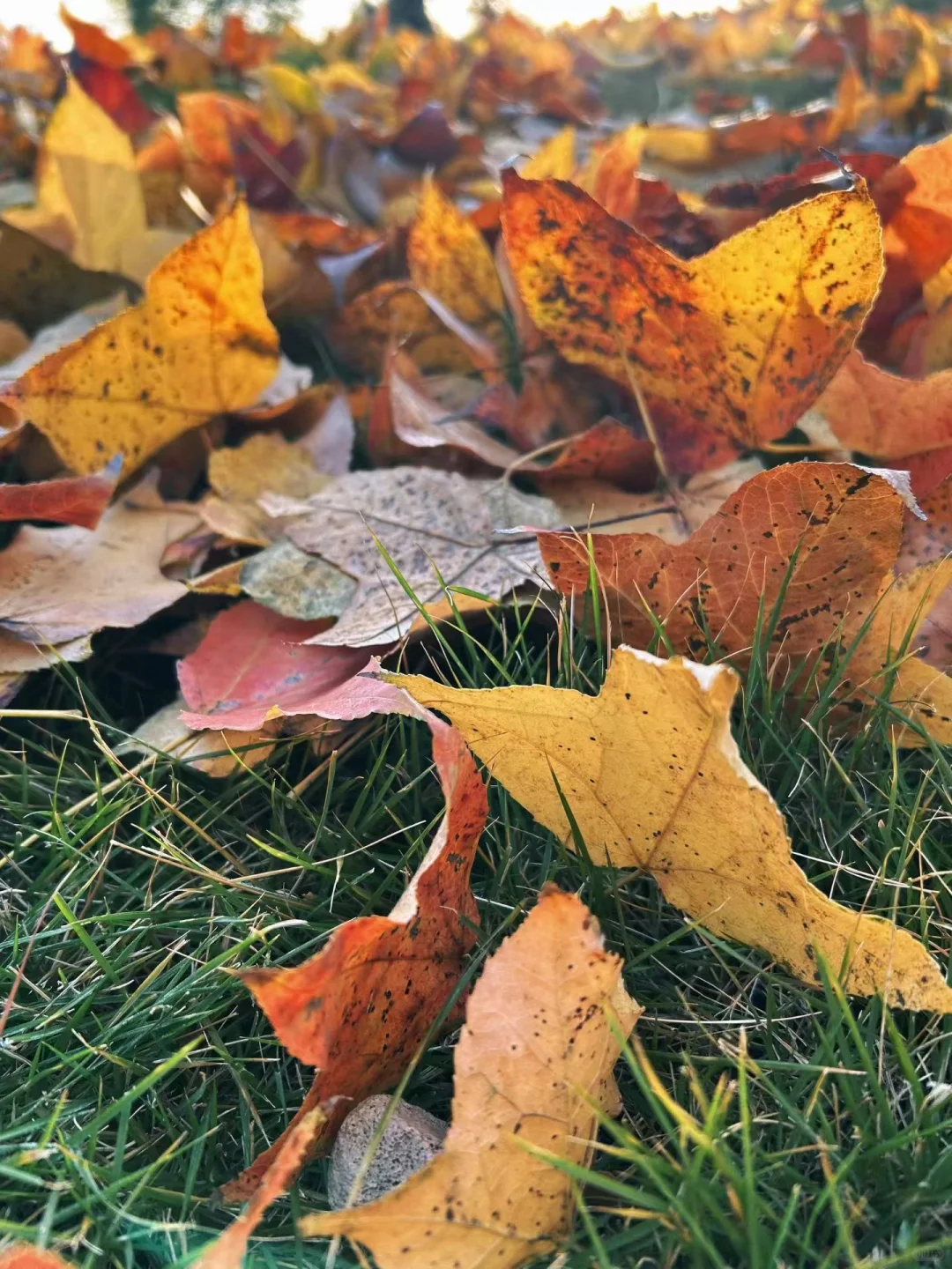 杭州俊怡建材瓷砖批发仓库