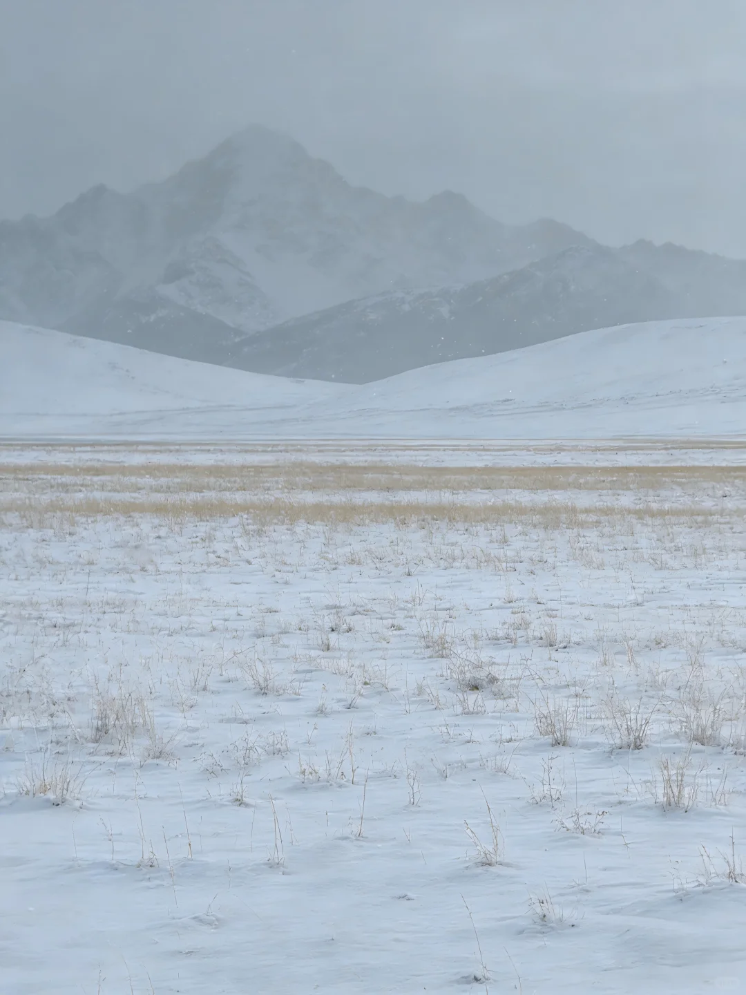 暴风雪来临,牧场的“暂停键”才是真正智慧