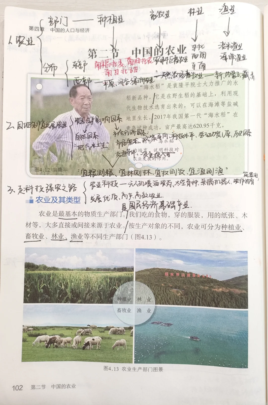 8.4.2中国的农业-商务星球版新版