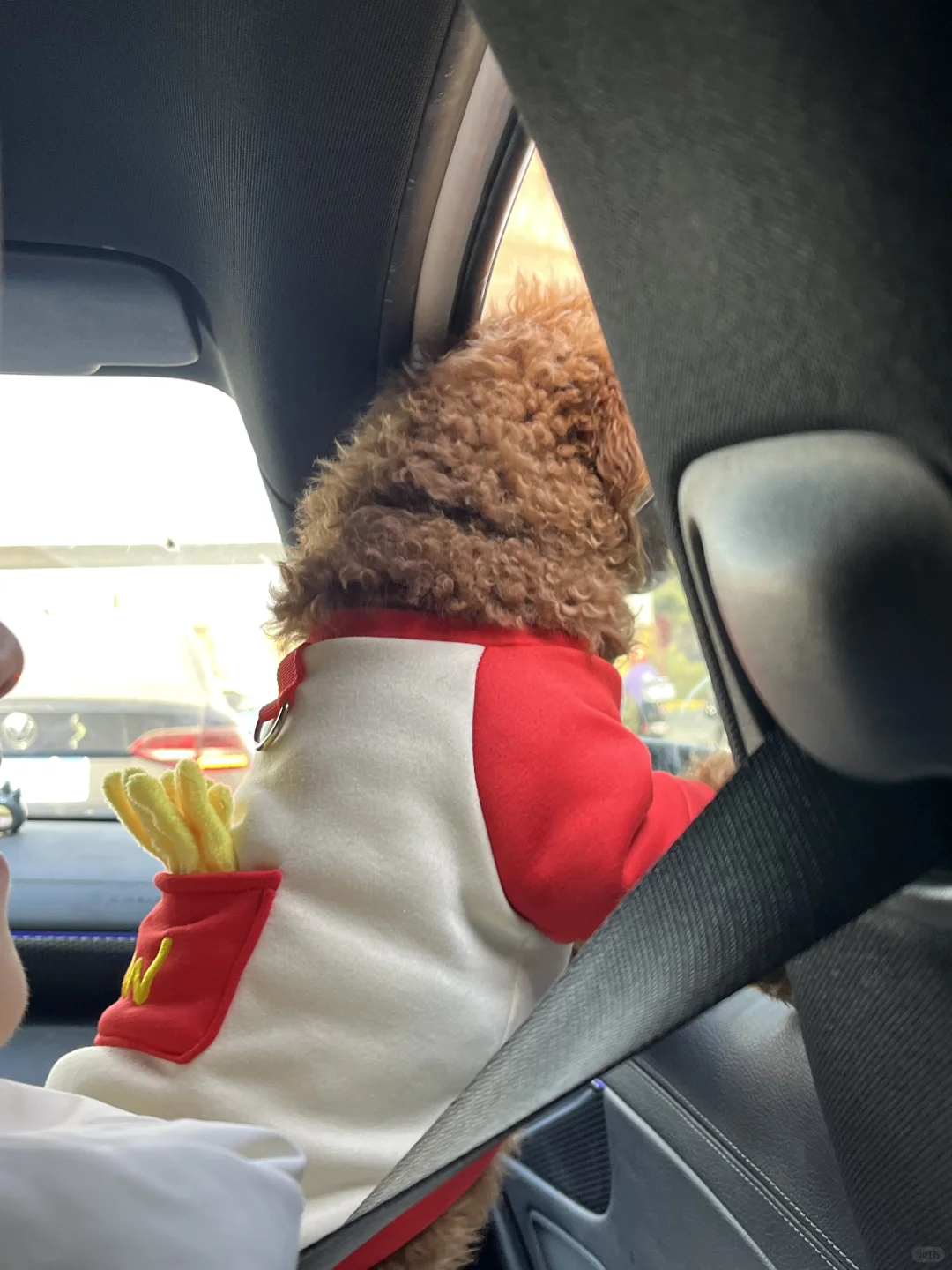 00后毕业女大钢材生卖钢第439天?