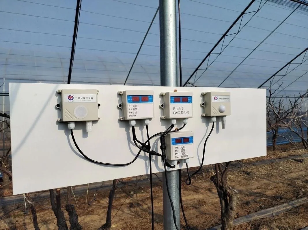 【智驭万穗｜边缘计算重塑现代农业新范式】