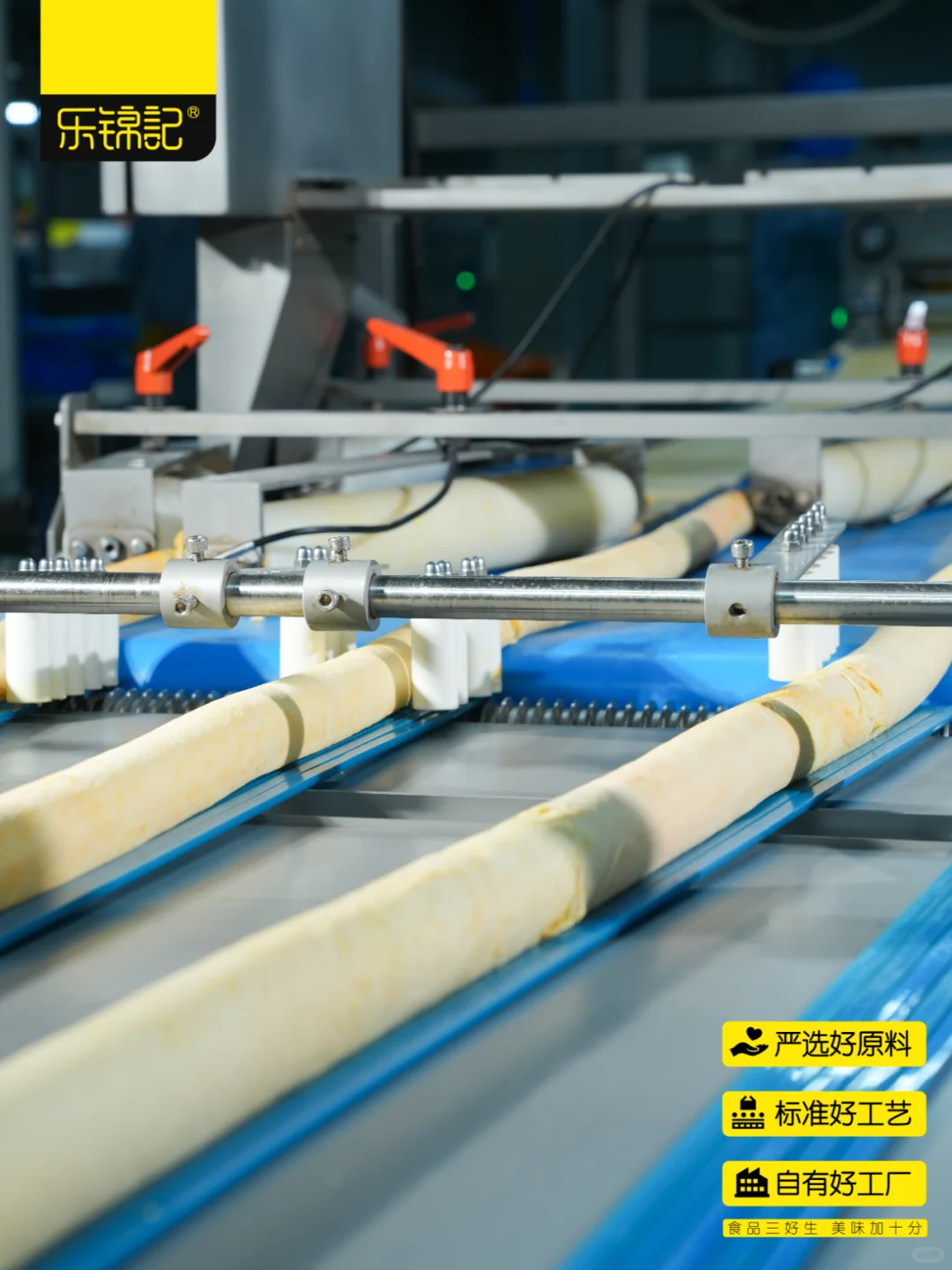 探厂plog❗今天是进厂“打工”的一天