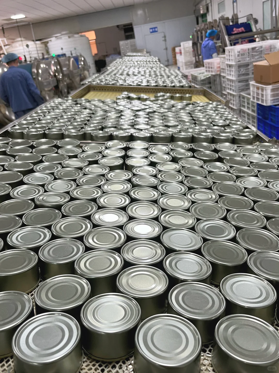 各种宠物湿粮，工厂?小批量定制