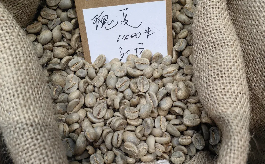 深圳展会明年你你们还来吗？