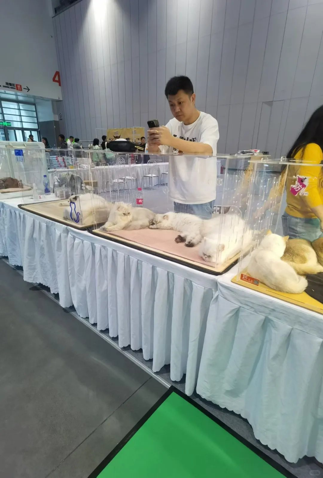 穿梭各个展会现场❗️