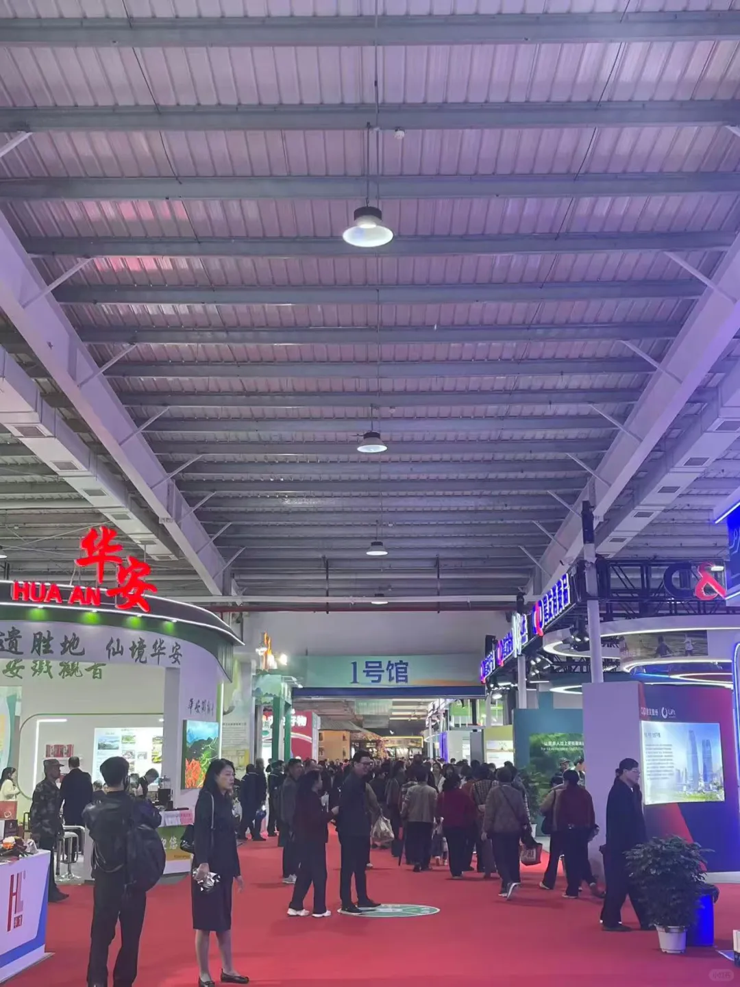 穿梭各个展会现场❗️