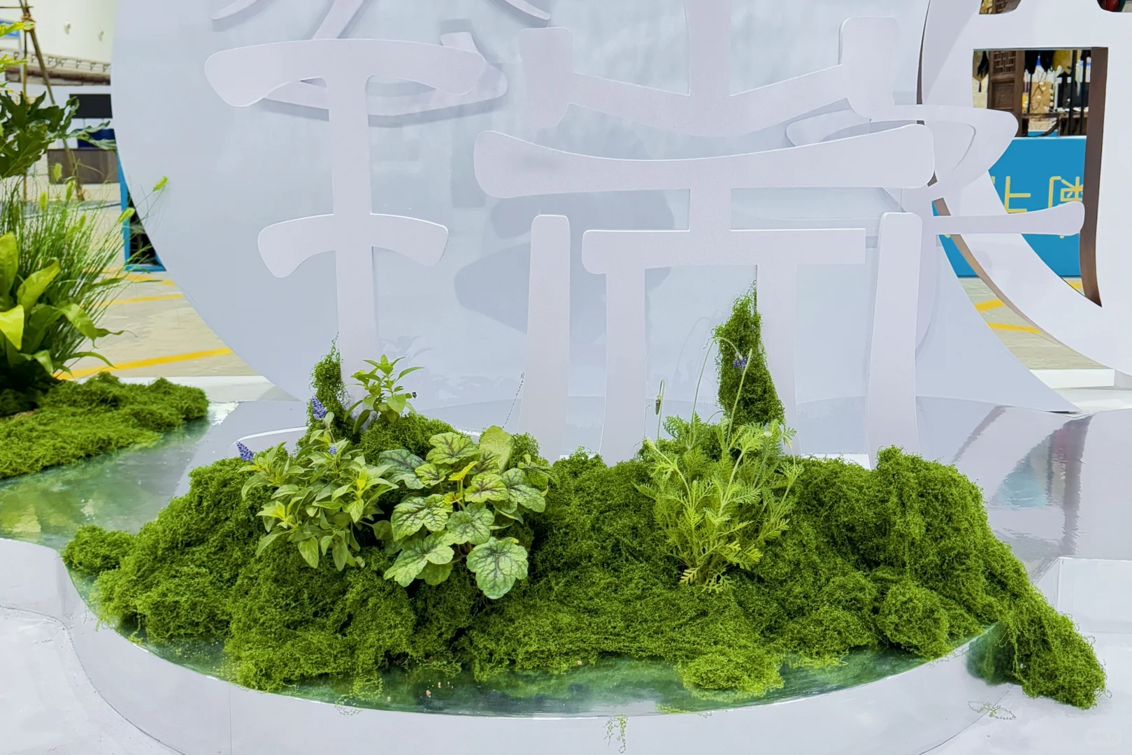 【把一座苔藓岛屿，搬进了疗愈展】