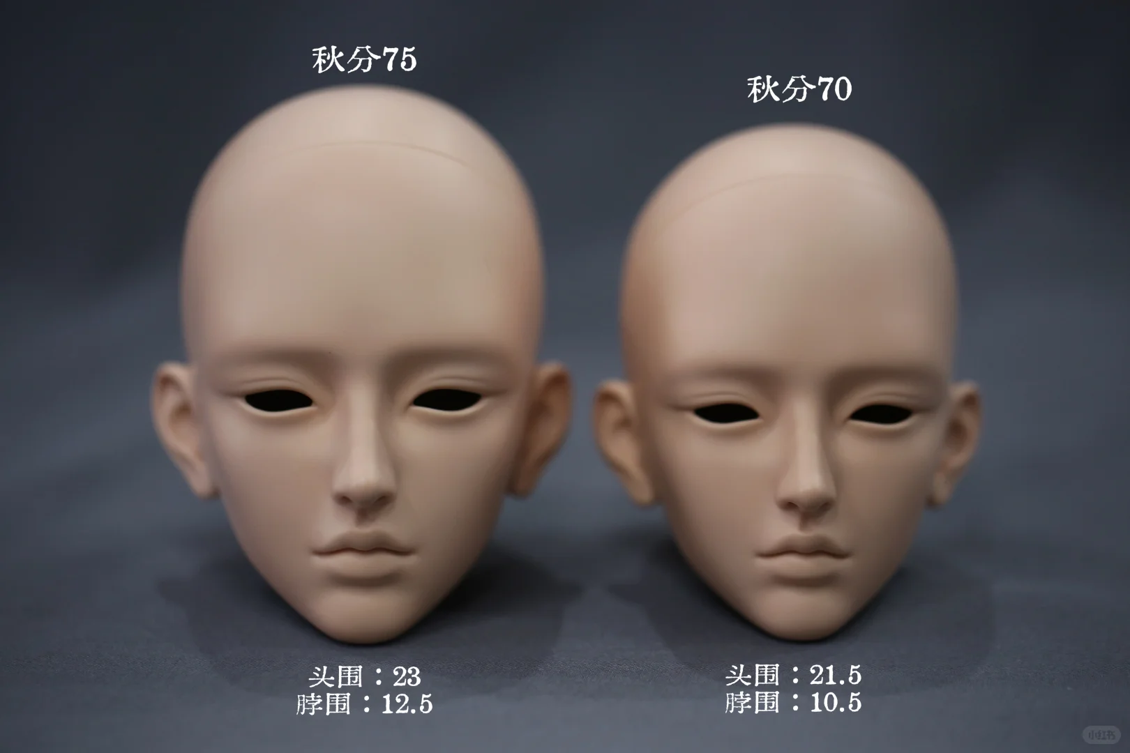 Hzdp找我领取小礼物