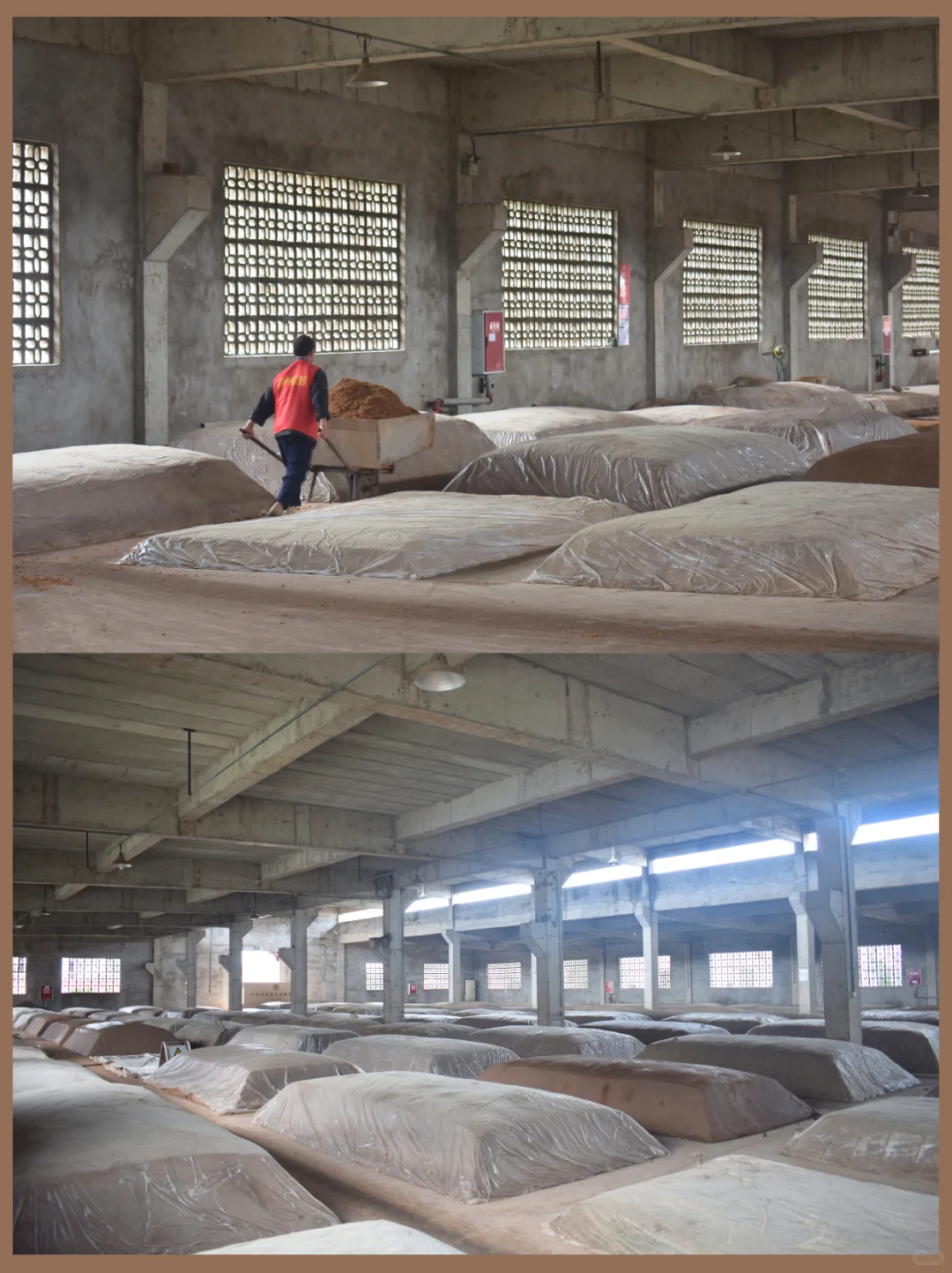 酒行业风口来了！泸州原窖合作商开业即出圈