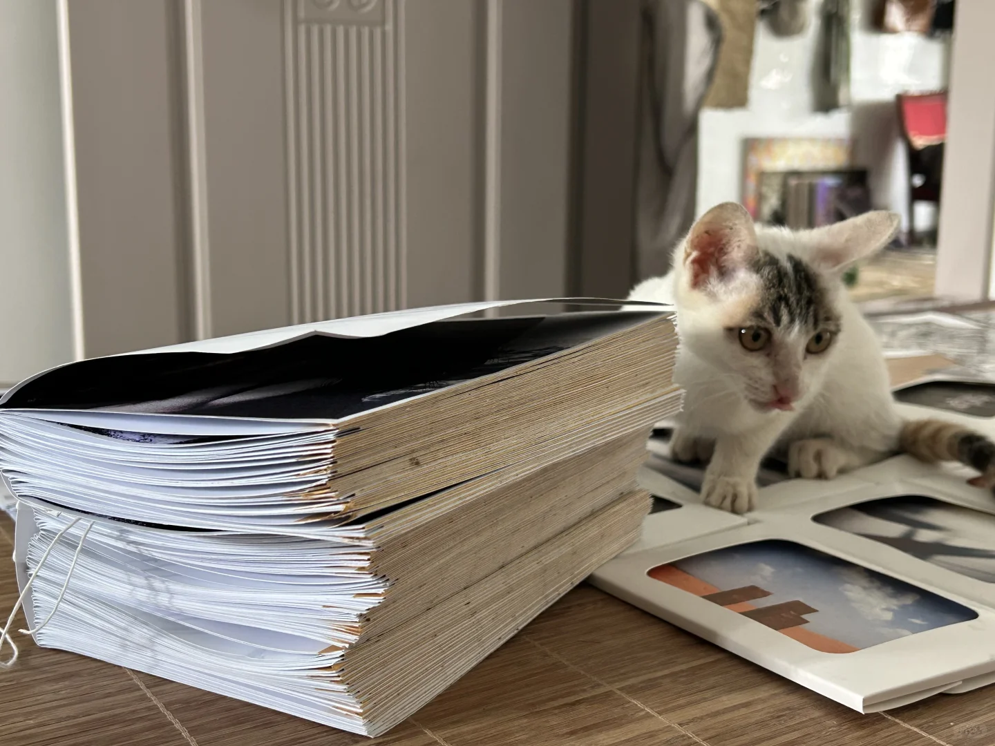 海口展览｜两个人手搓出的展览今天开幕了