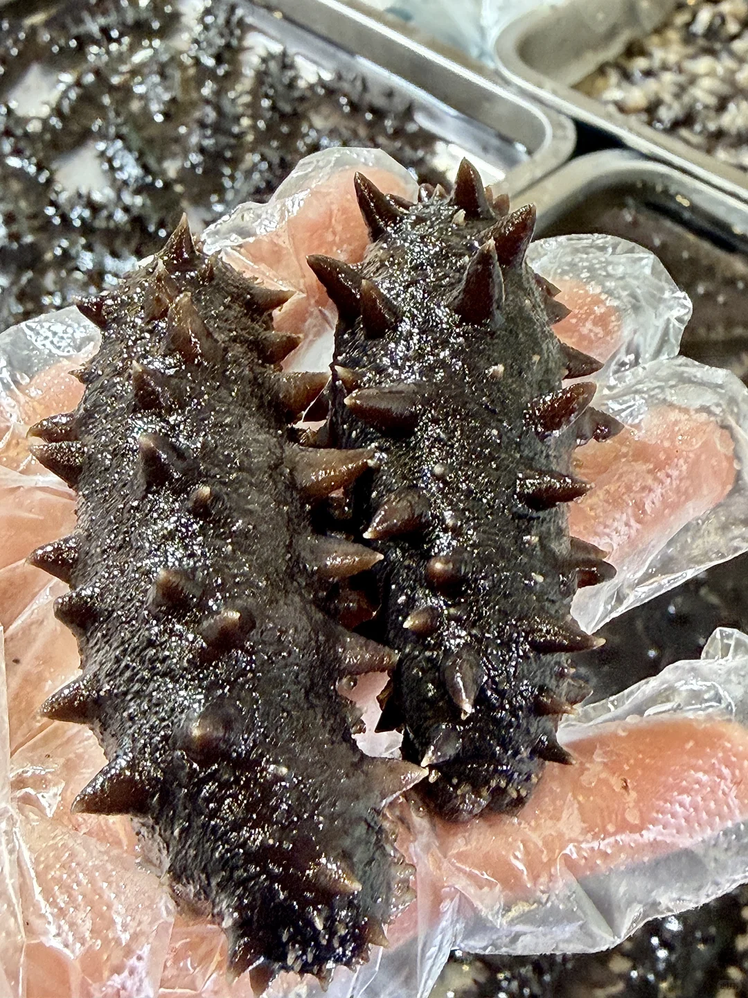 淮安进出口博览会…空肚子去?