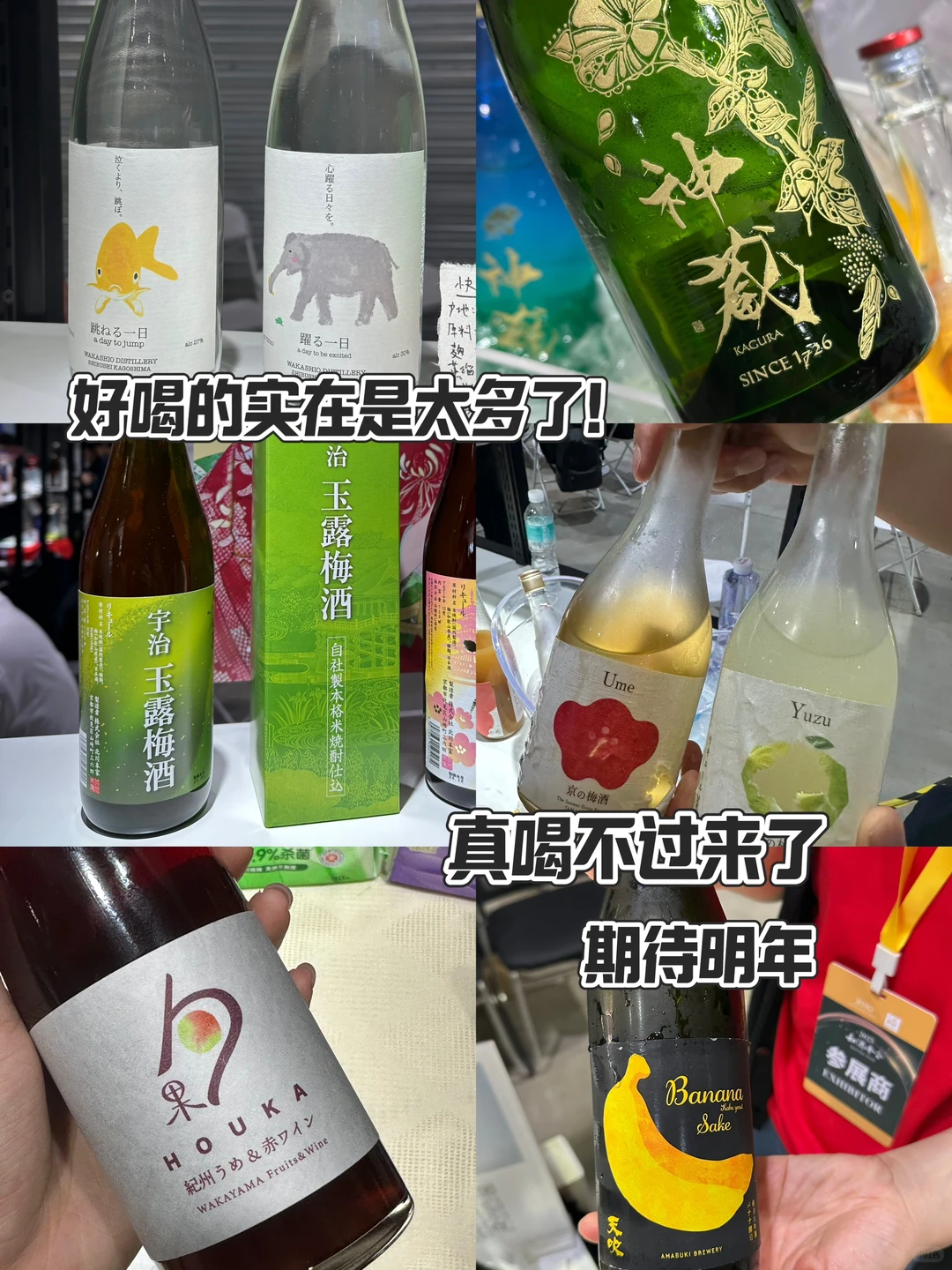 选品日常｜一年一度和酒峰会果酒喝到爽！