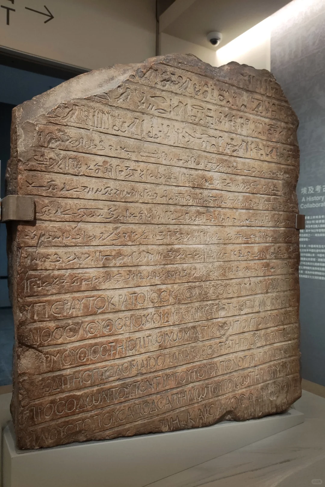 看展|香港故宮古埃及大展，9个半月限时打卡