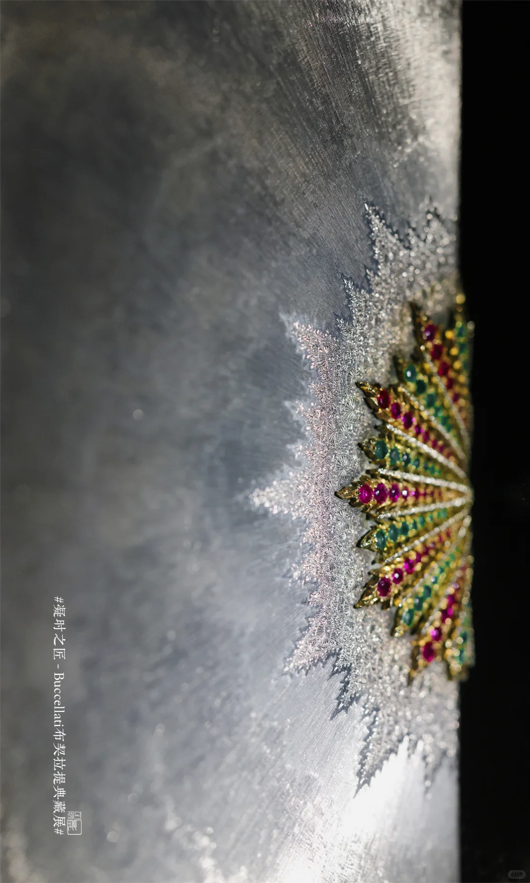 难得避雷一个展：布契拉提…