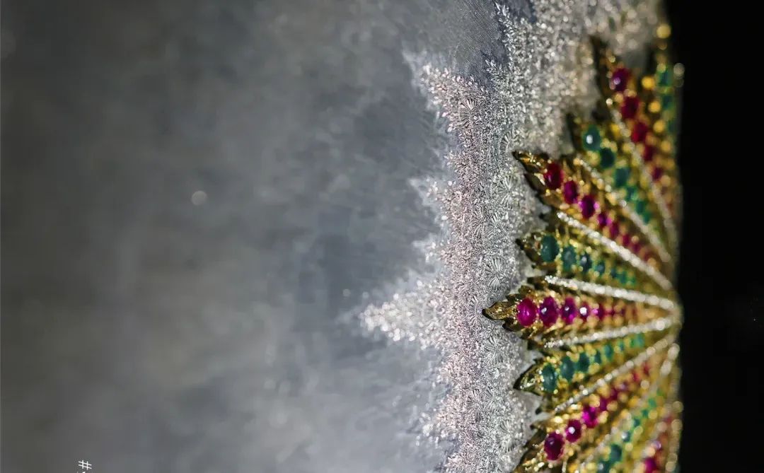 难得避雷一个展：布契拉提…