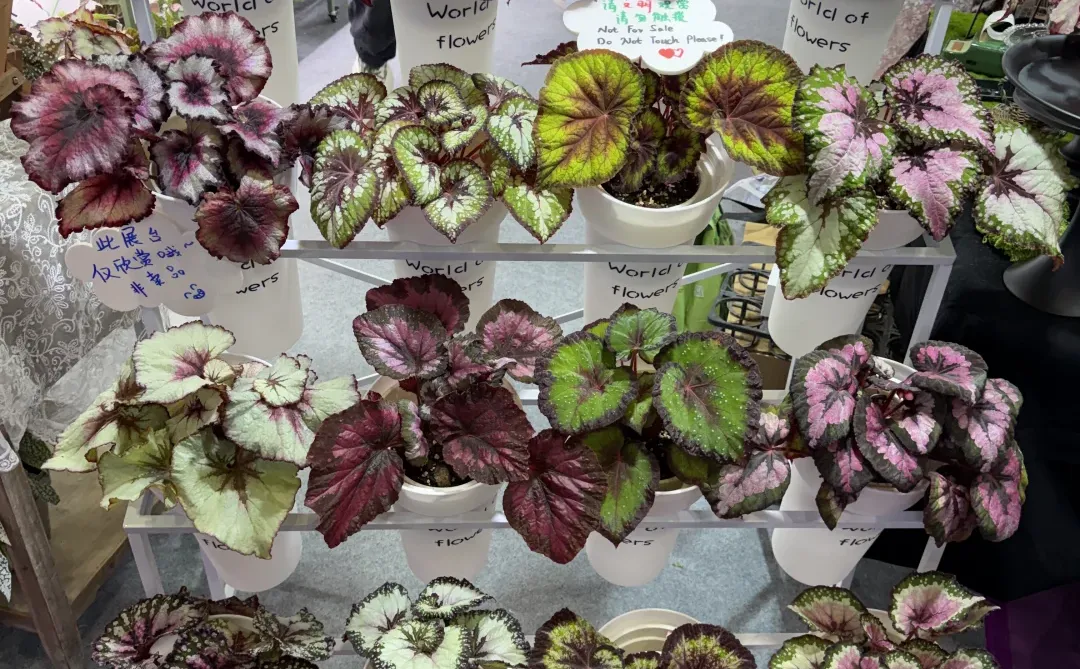 无锡展会上的一点点