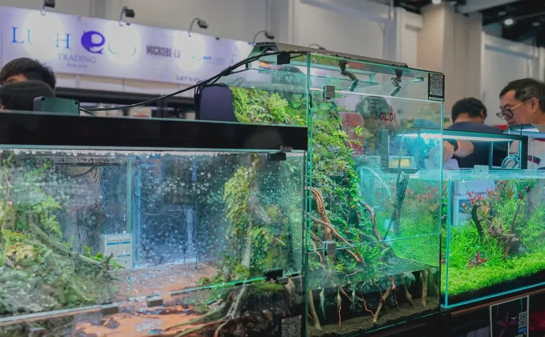 ?? 2025超大型水族展