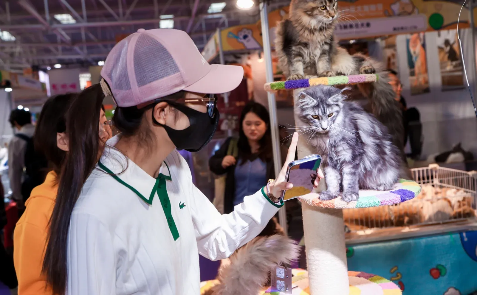 青岛宠物展门票