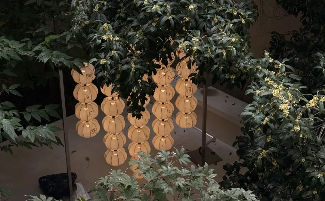 在上海看的⑧个漂亮展览合集