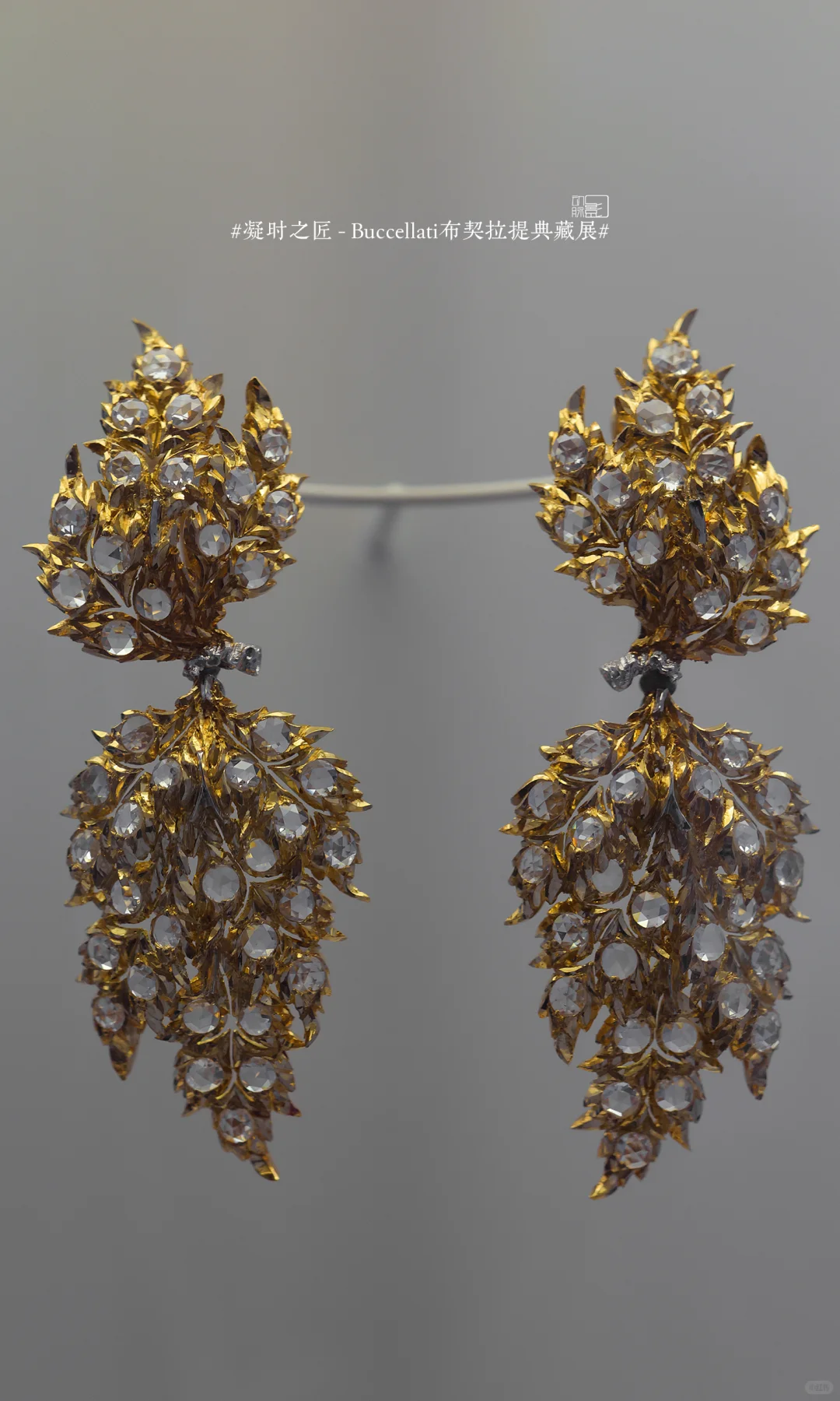 难得避雷一个展：布契拉提…