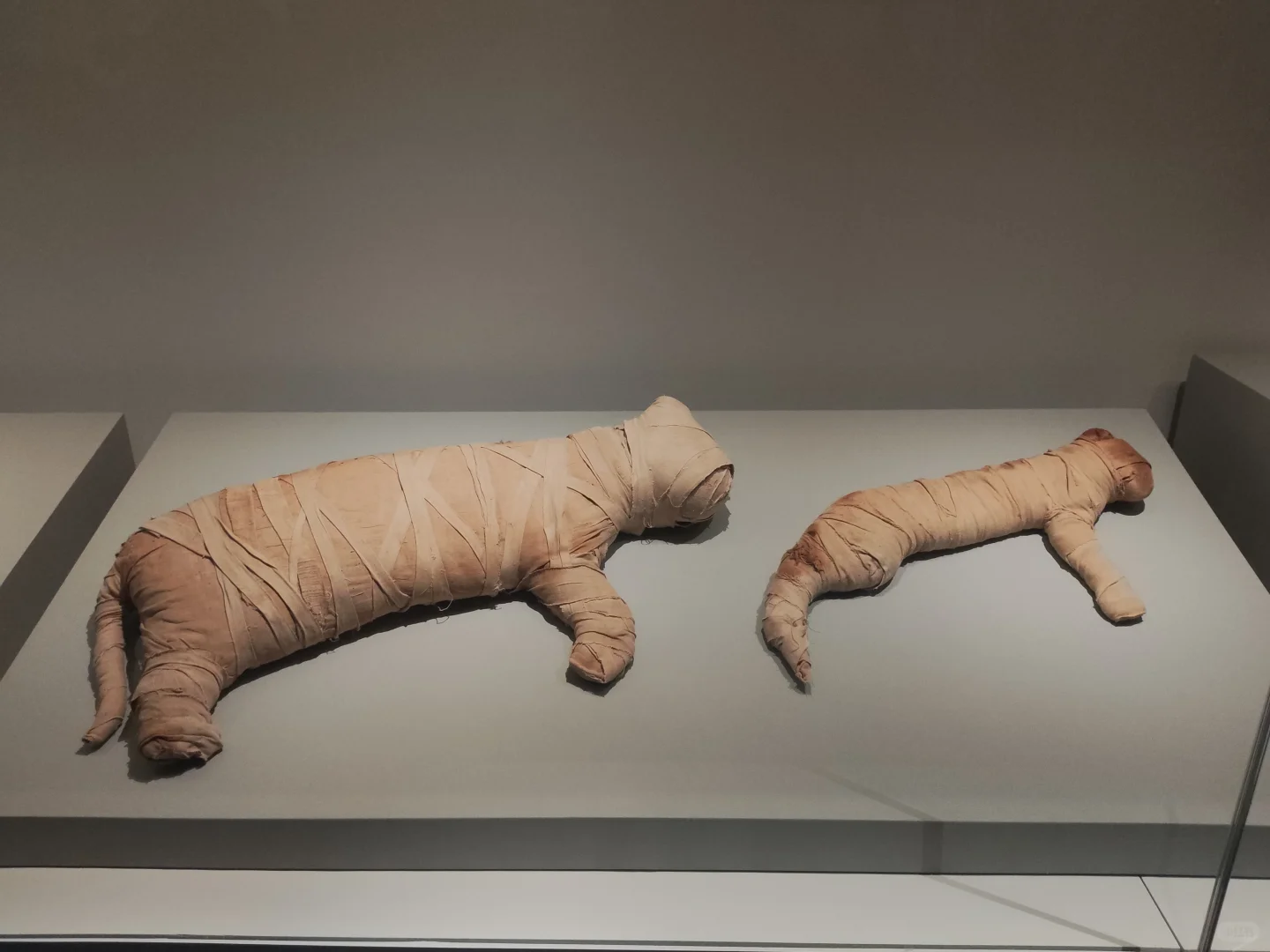 看展|香港故宮古埃及大展，9个半月限时打卡