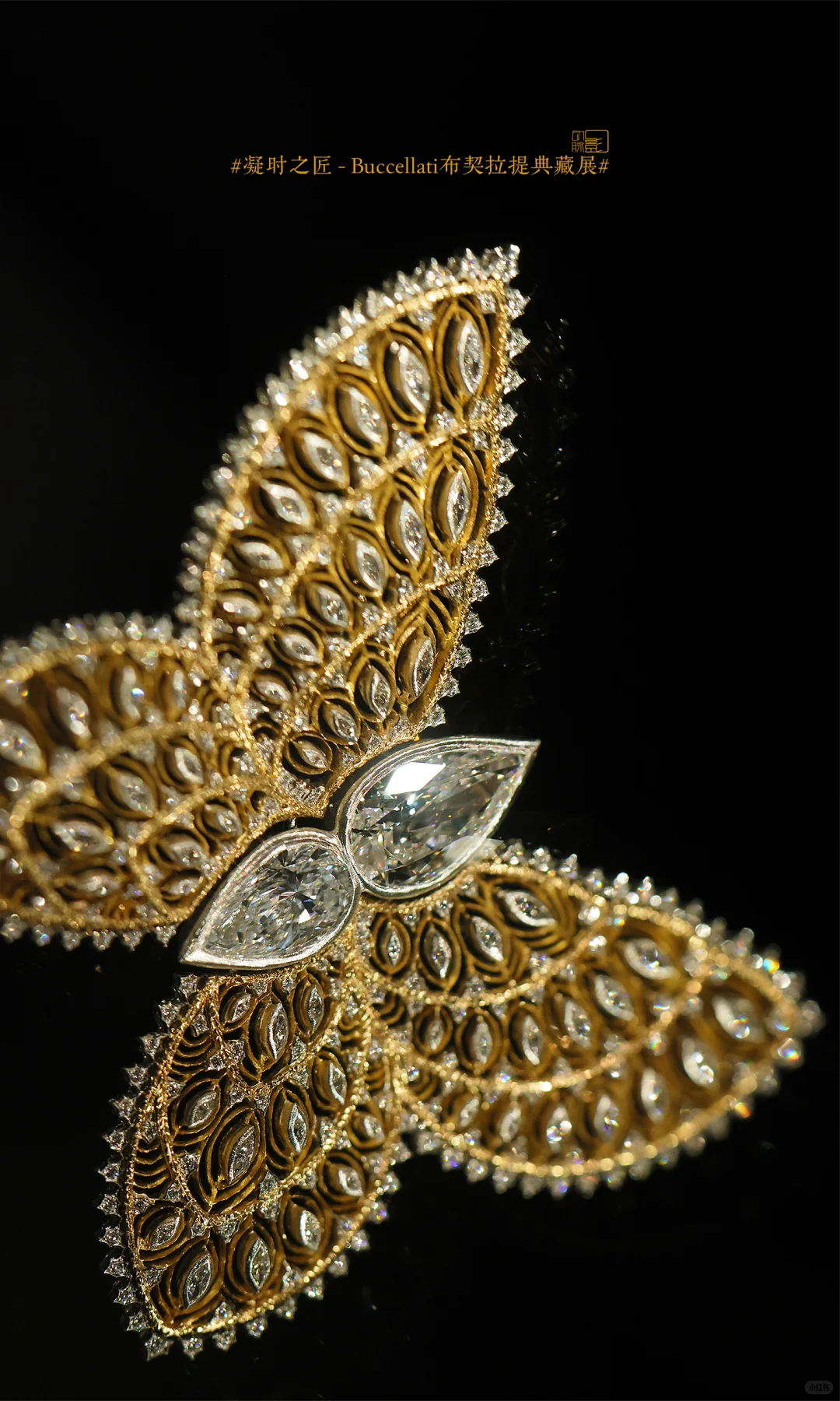 难得避雷一个展：布契拉提…