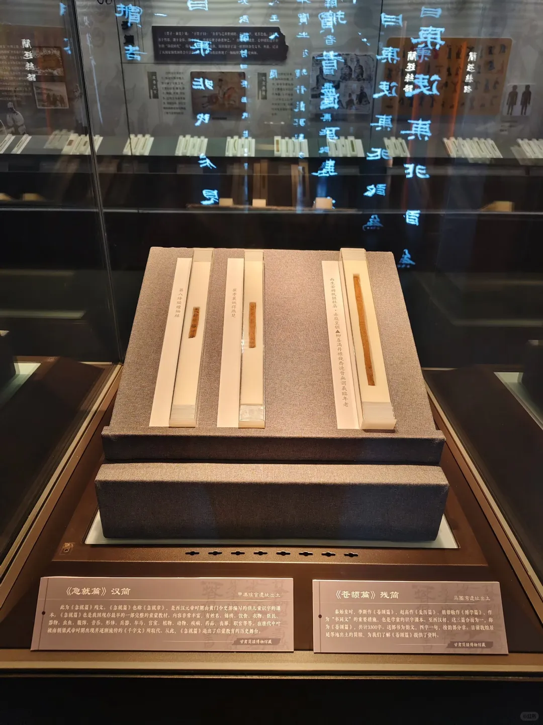 天博新展来了