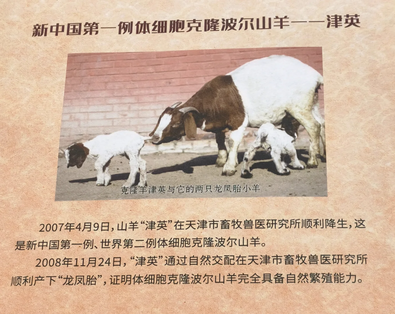 天津这些“新中国之最”也太牛了吧!