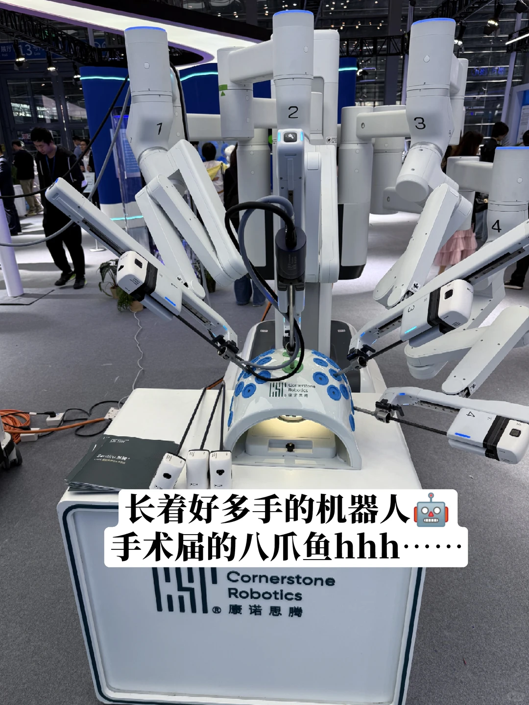 高能量00后逛展小记一则