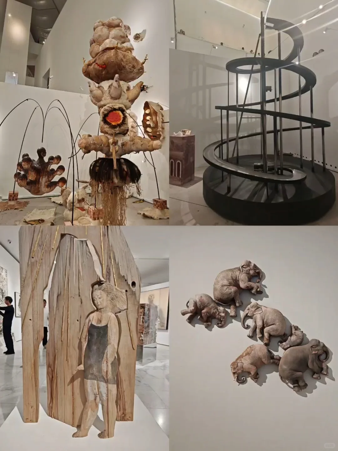 央美2025毕业展｜逐光而行