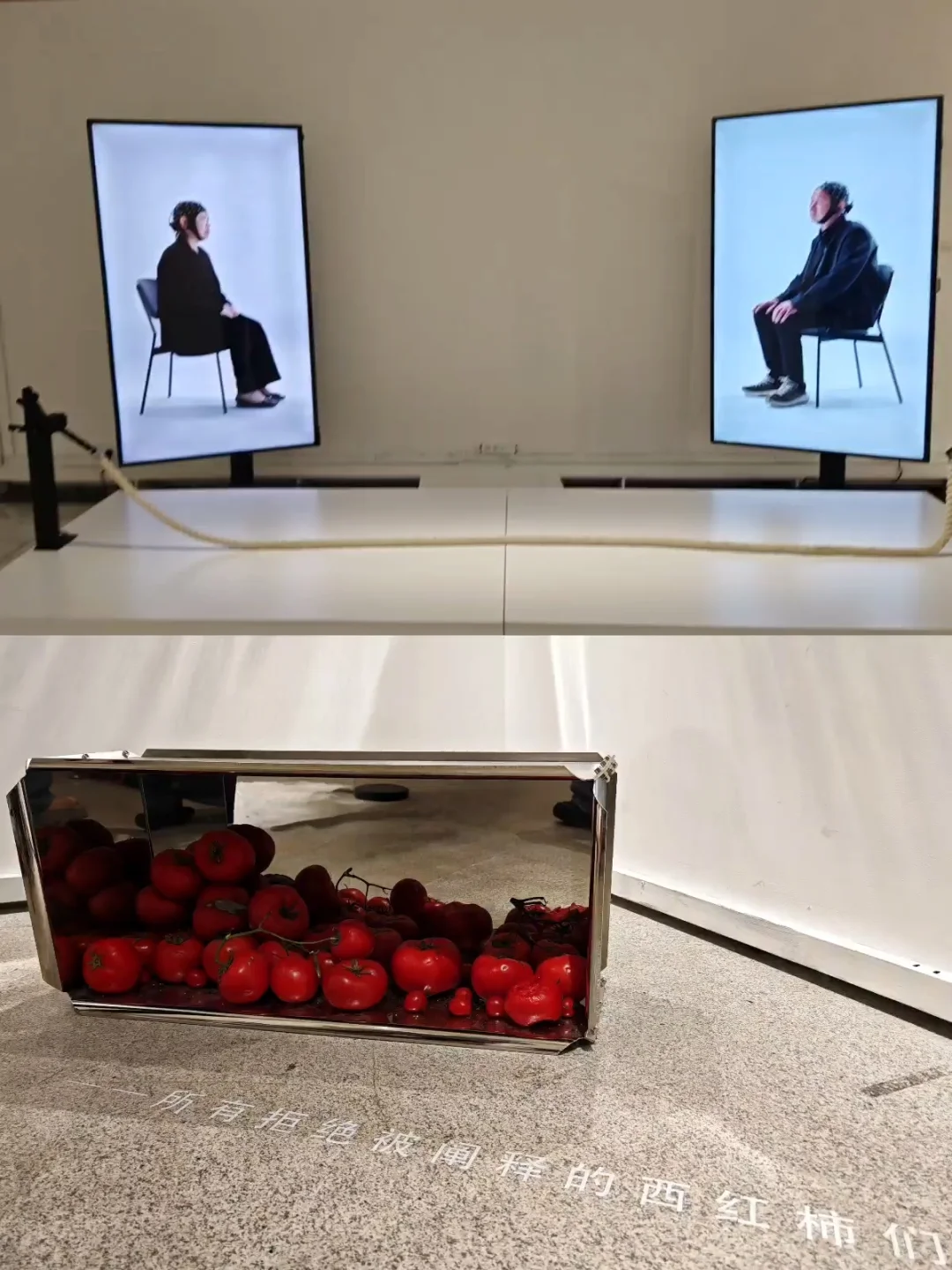 央美2025毕业展｜逐光而行