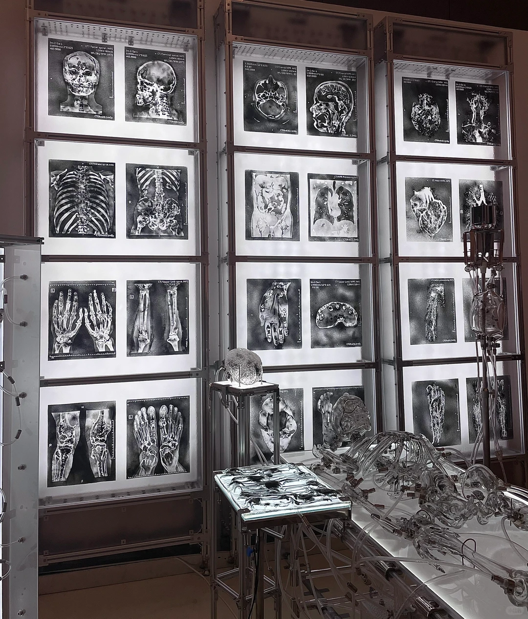 央美研究生毕设展北京DES分会场