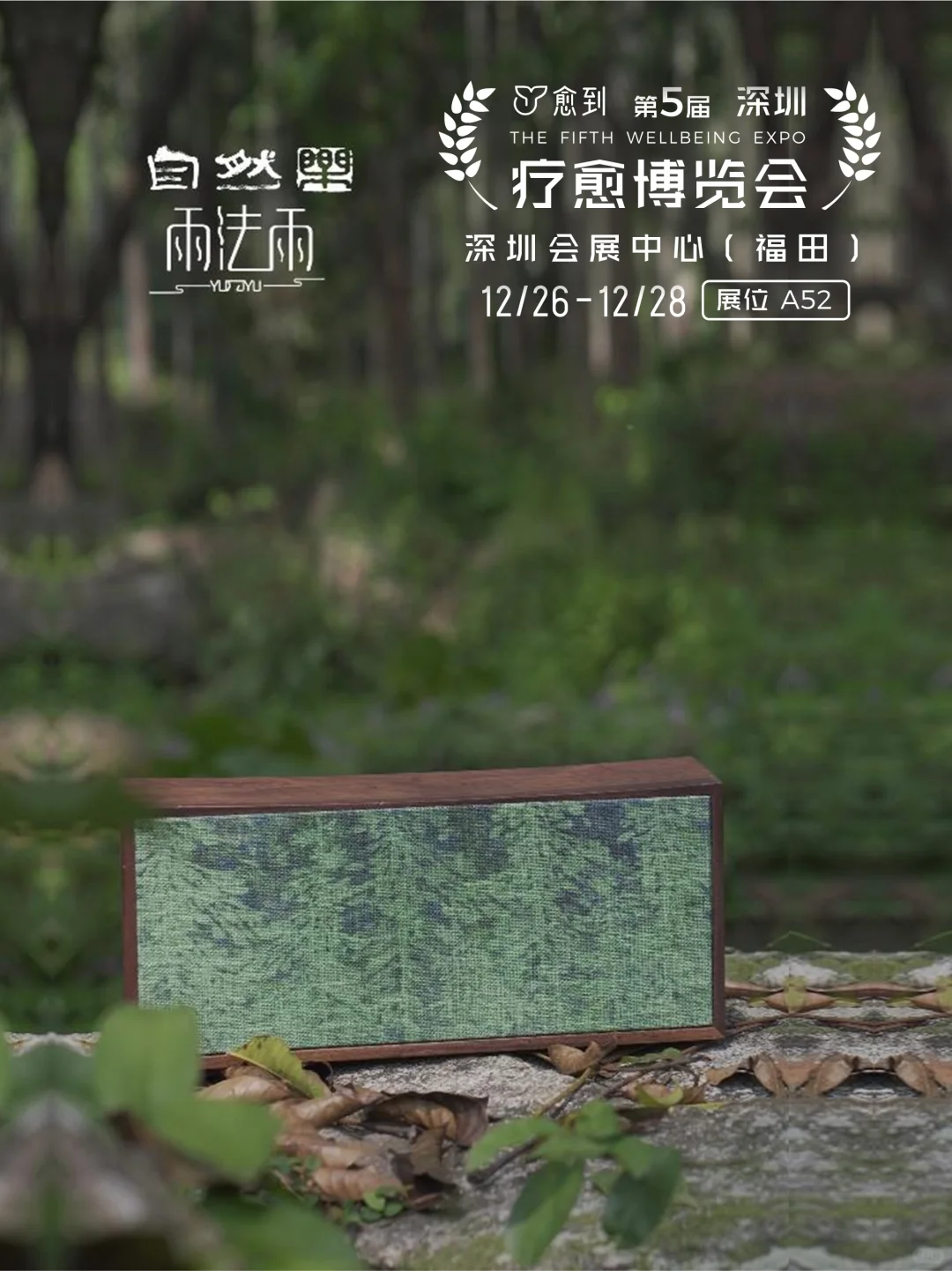 雨法雨:自然原声疗愈之境