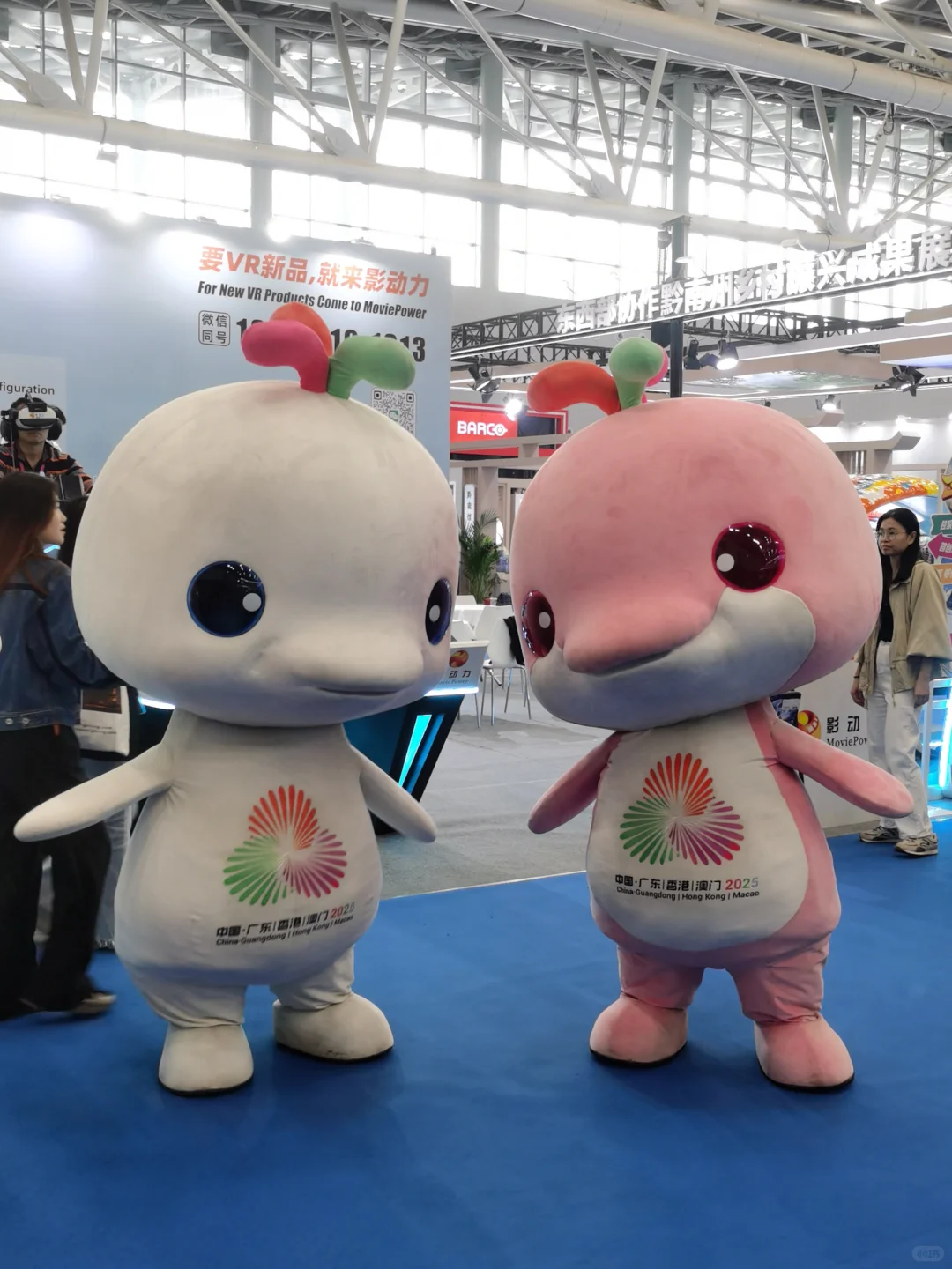 大湾鸡在文交会的第一天photos