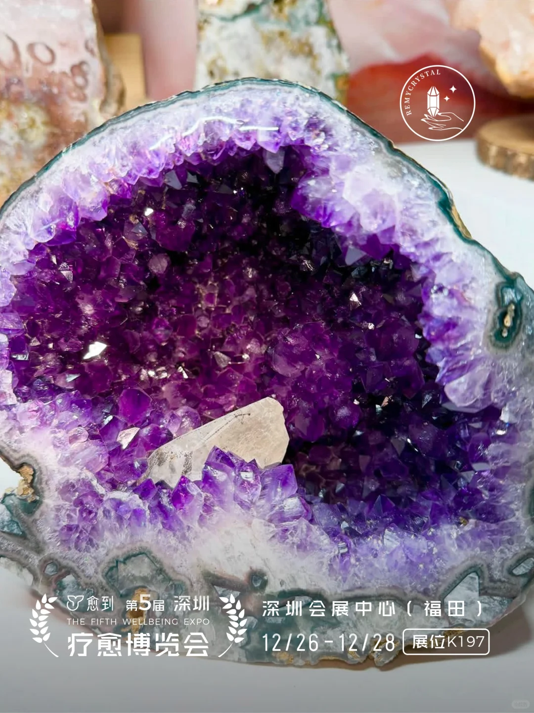 晶耀全球 诚筑匠心