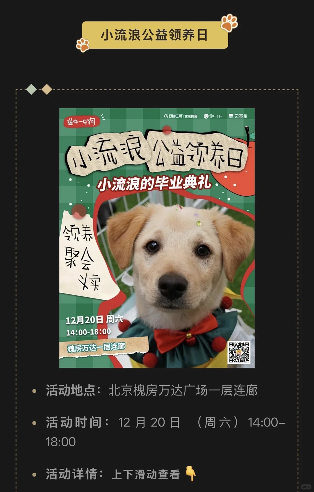 北京宠物圣诞活动预热【2025/12/18-12/21】
