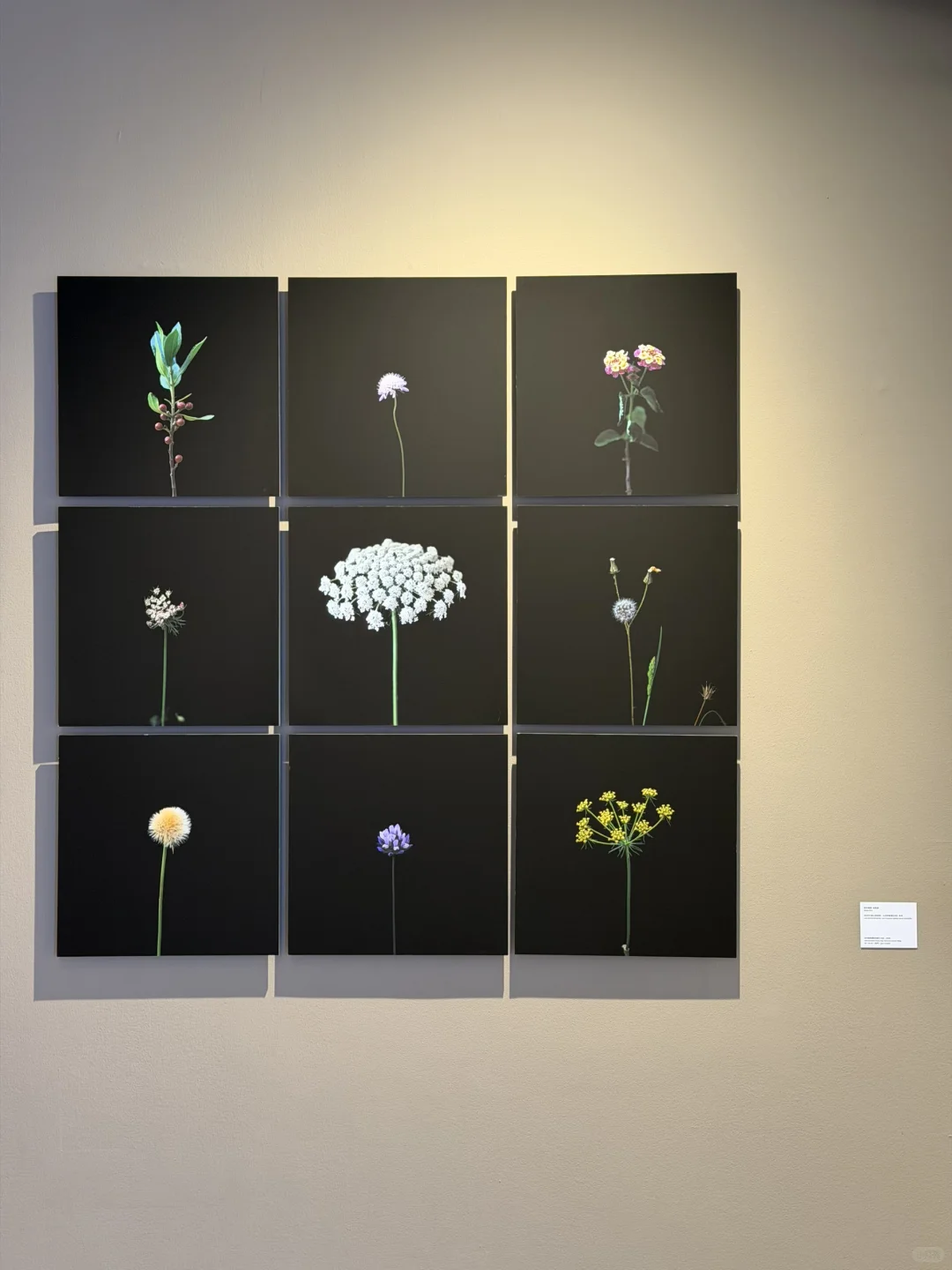 上海安福路!6个新展+新快闪连着逛!!