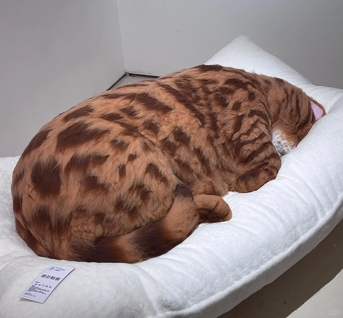 央美研究生毕设展北京DES分会场