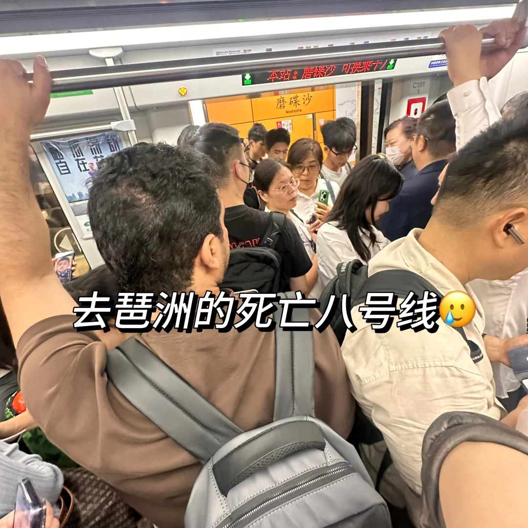 ?英语实践篇｜你一定要来一次广交会❗️