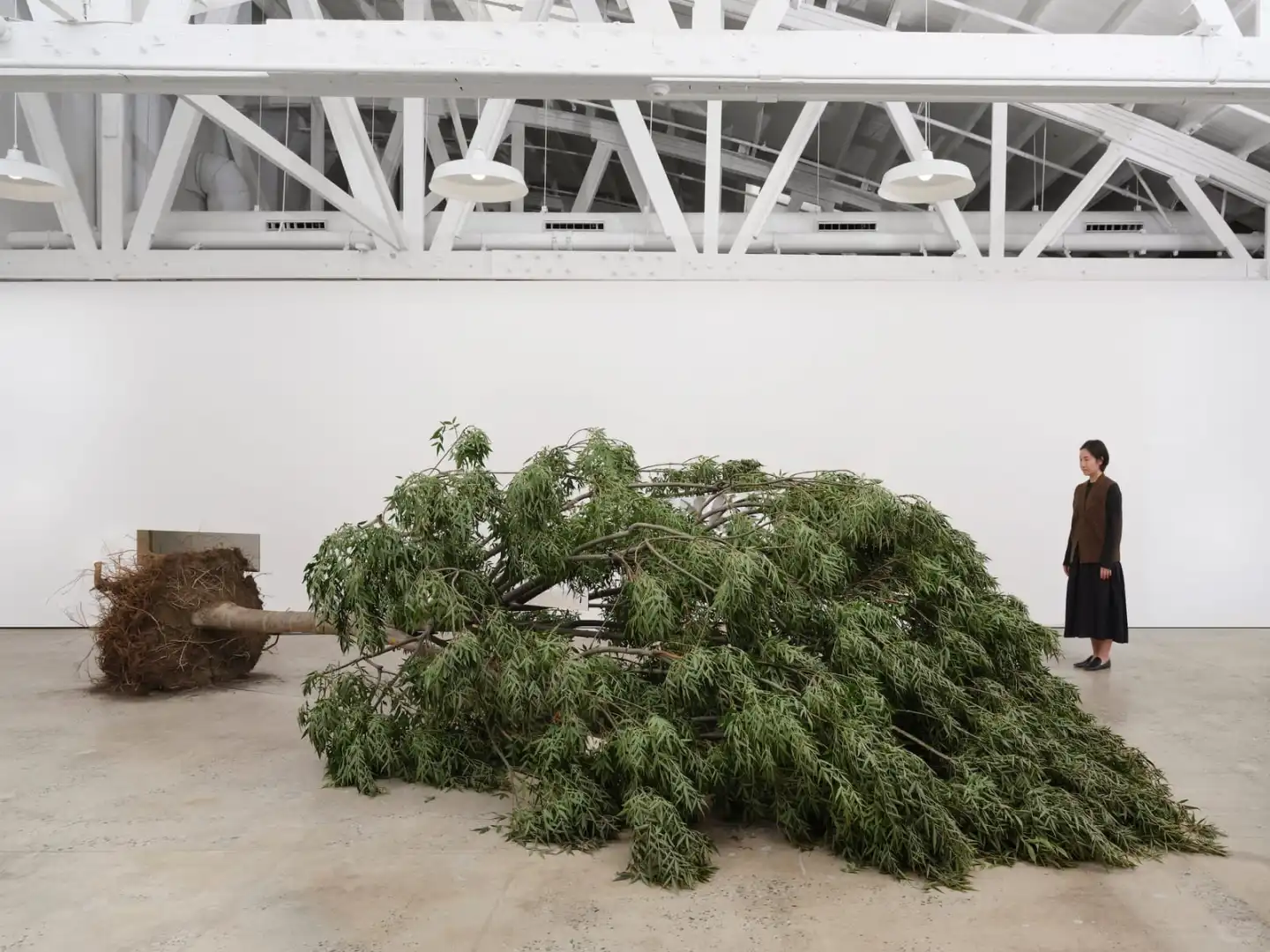 洛杉矶 | 12月上旬必看展览推荐！