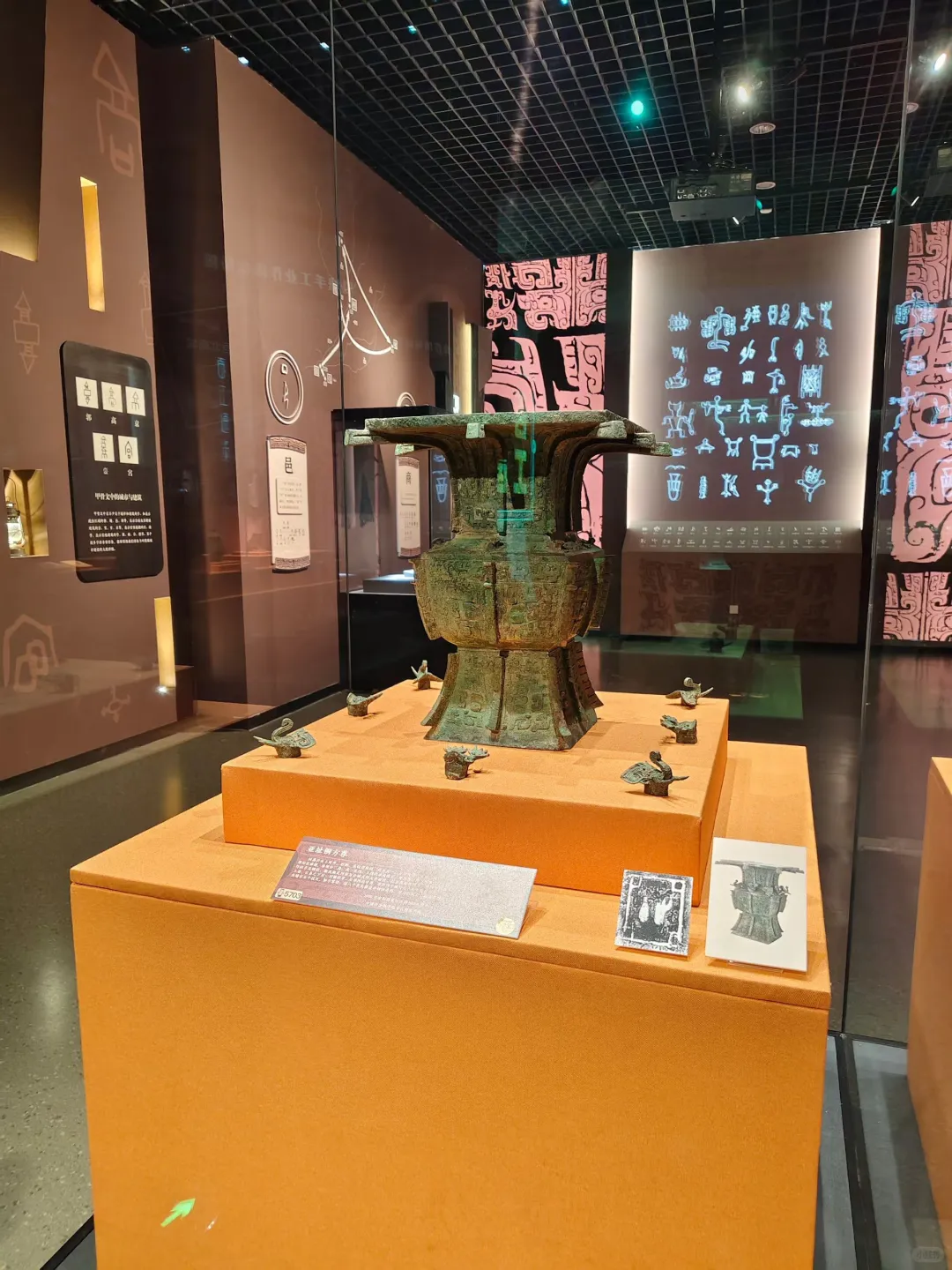 天博新展来了
