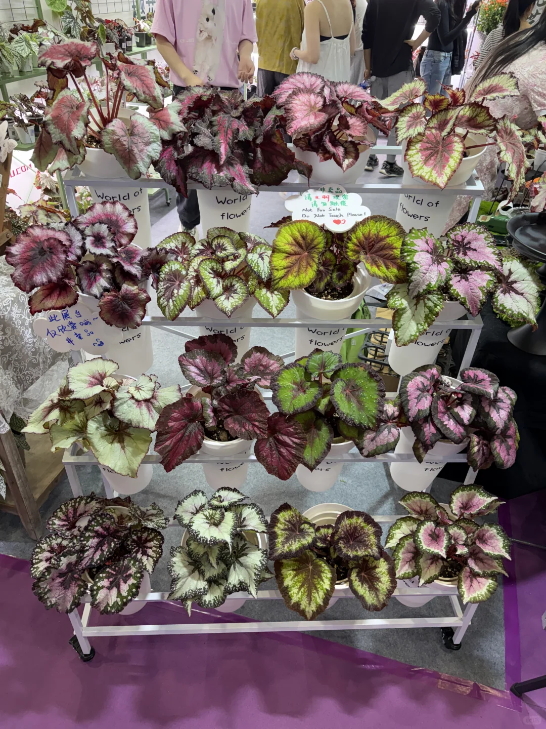 无锡展会上的一点点