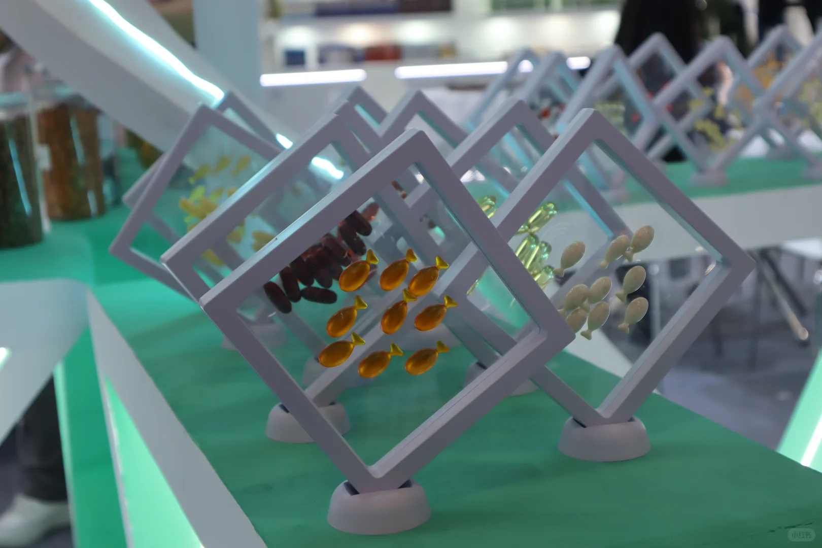 深圳营养展归来，3个趋势将改变健康消费