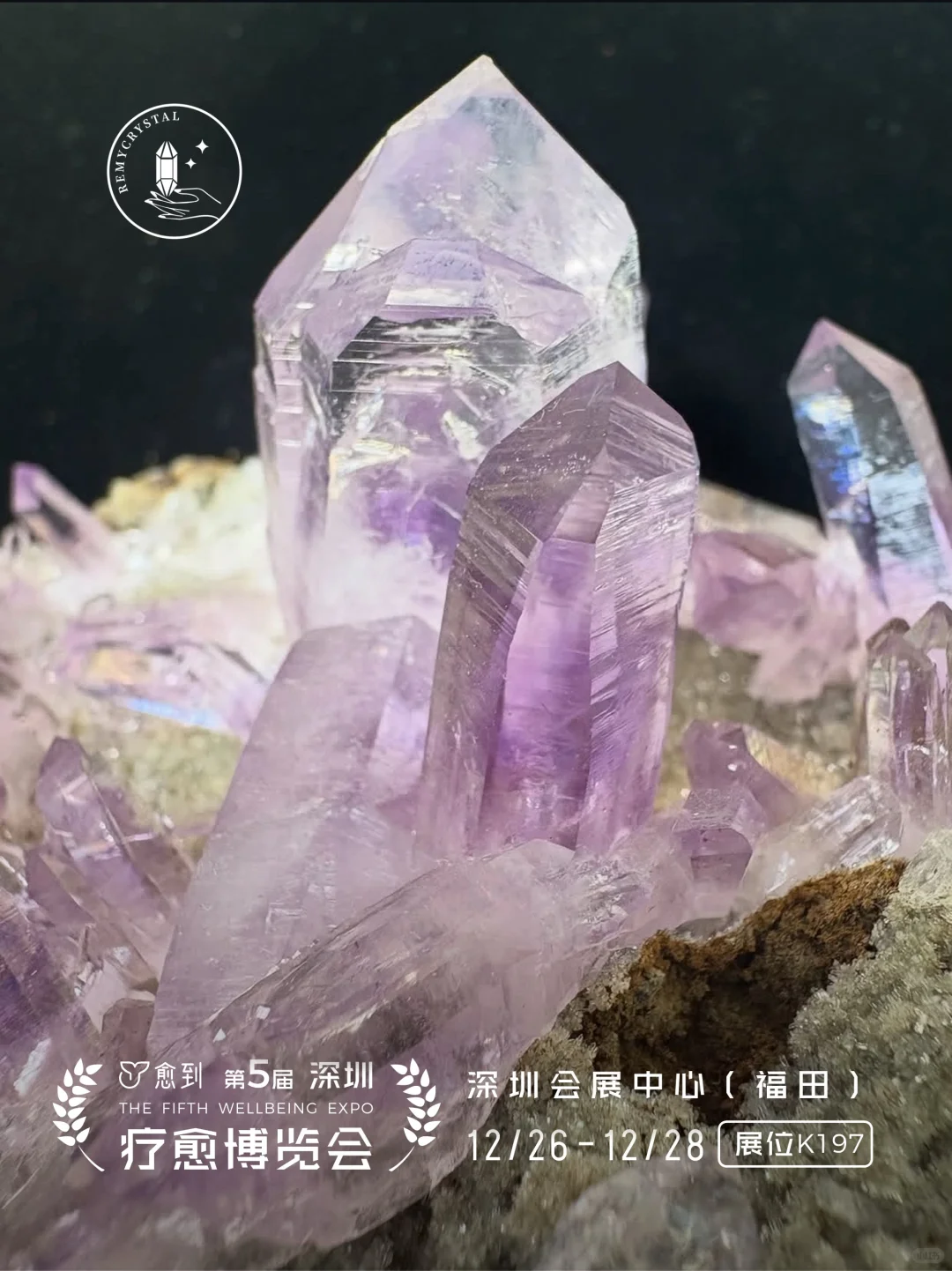 晶耀全球 诚筑匠心