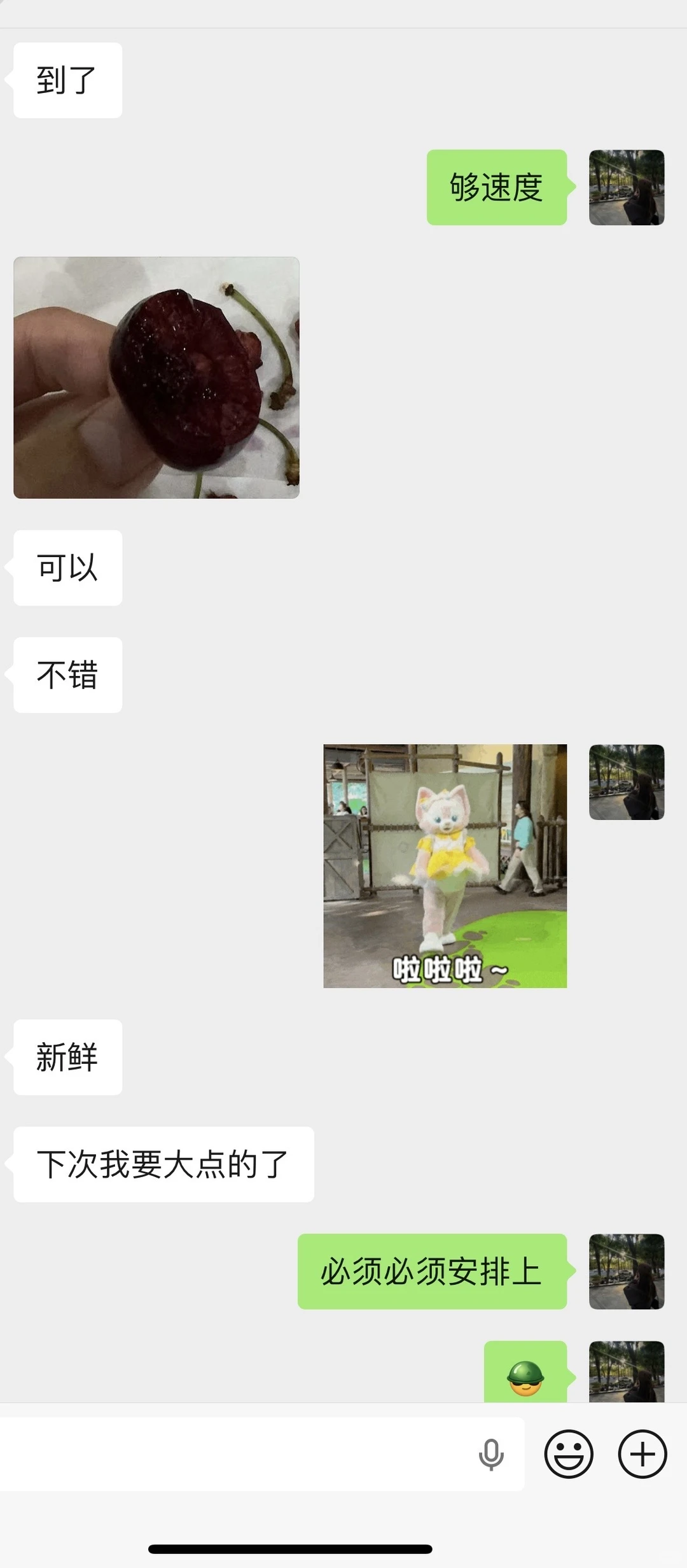 海吉星采购车厘子??