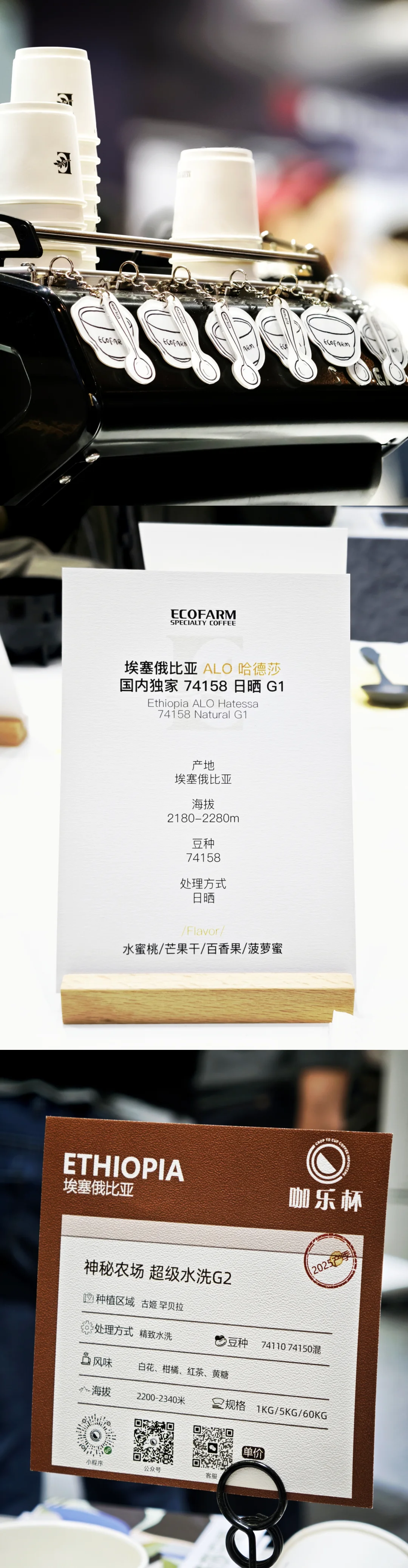 深圳2025HOTELEX咖啡展一日游总结