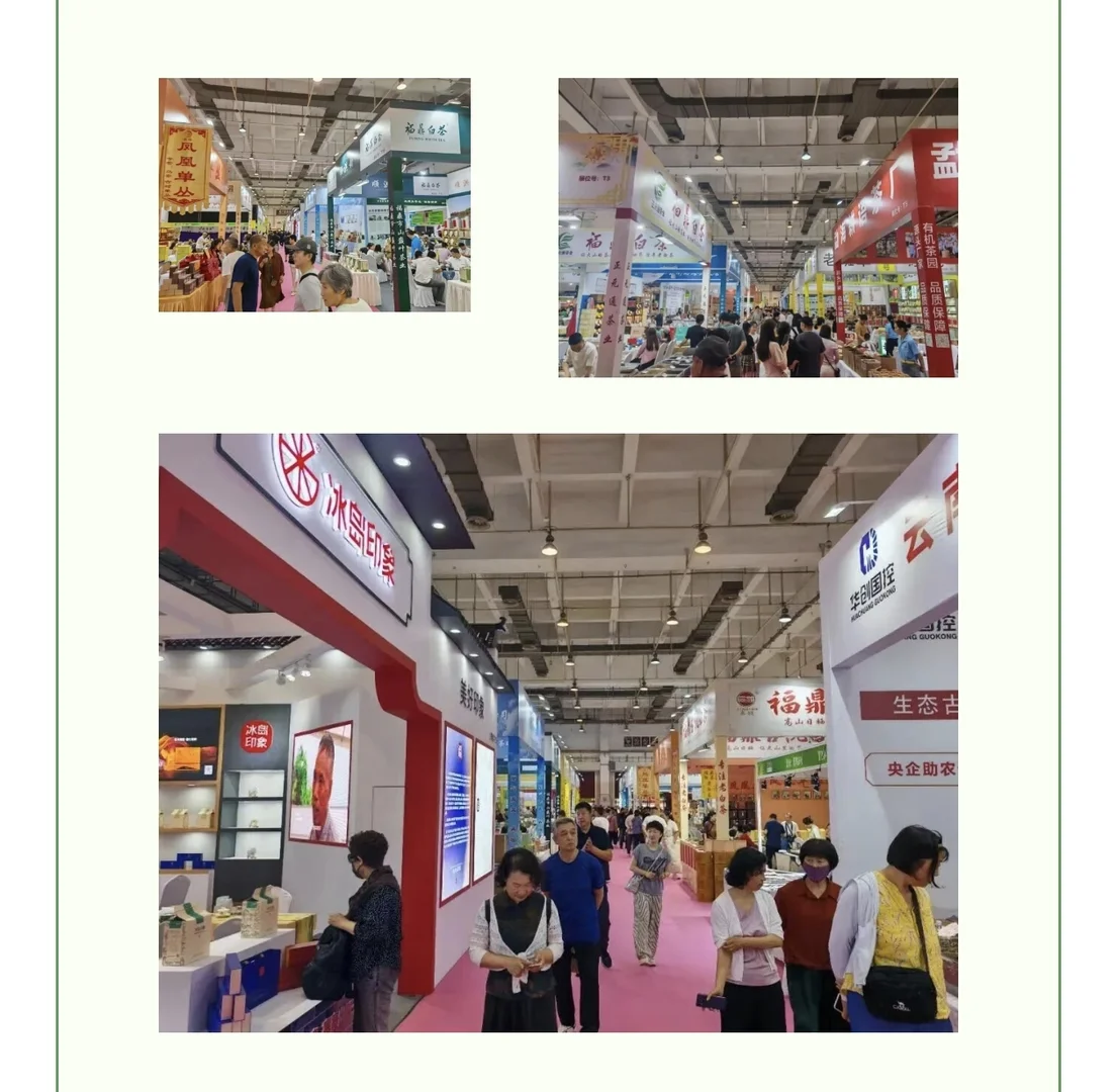 周末可以逛逛广州茶博会