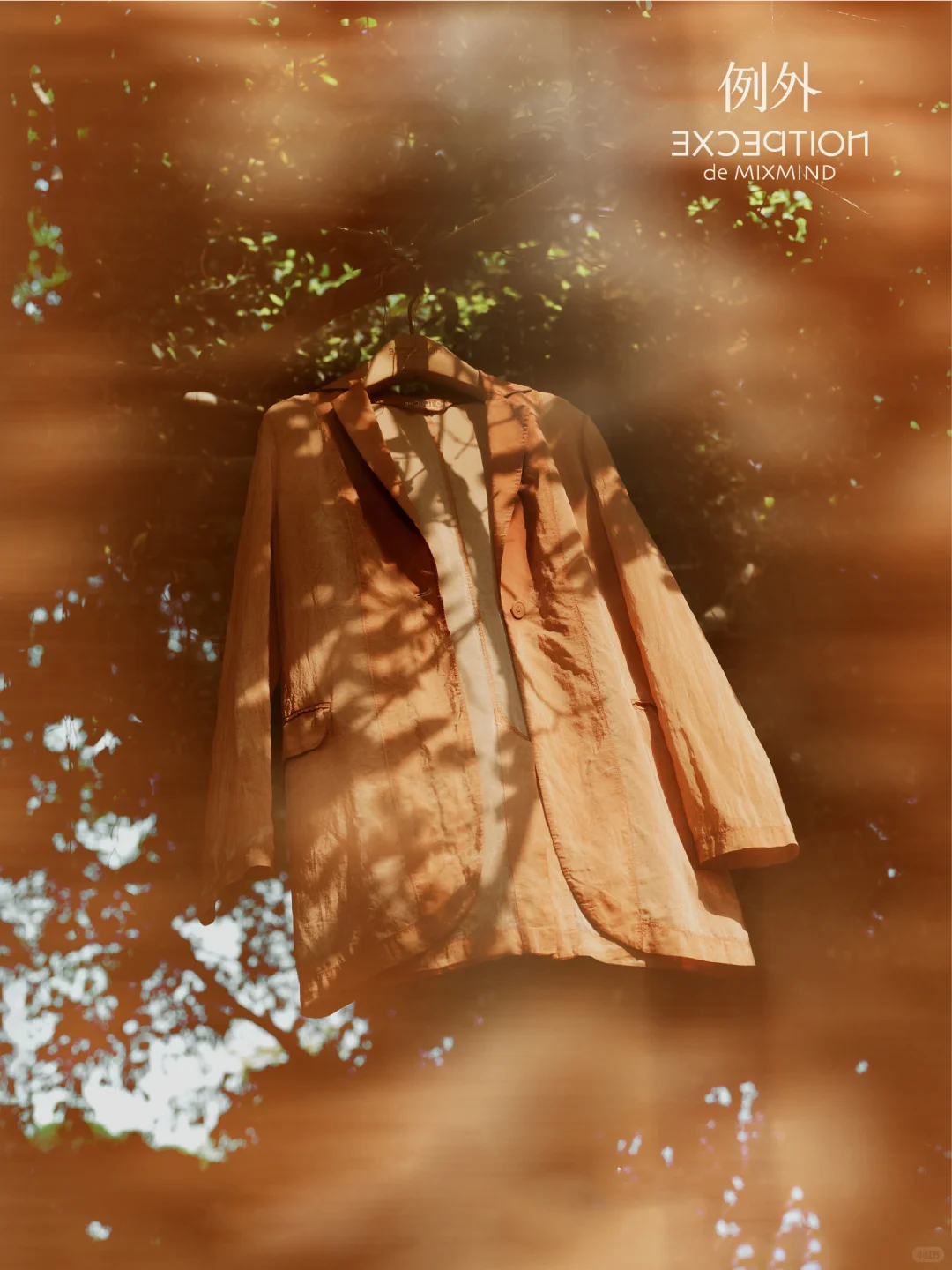 「例外」作为当代东方美学的践行者