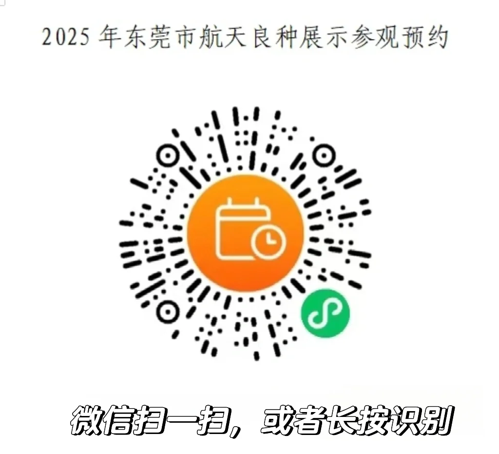 附免费预约链接?0元带娃逛东莞蔬菜展